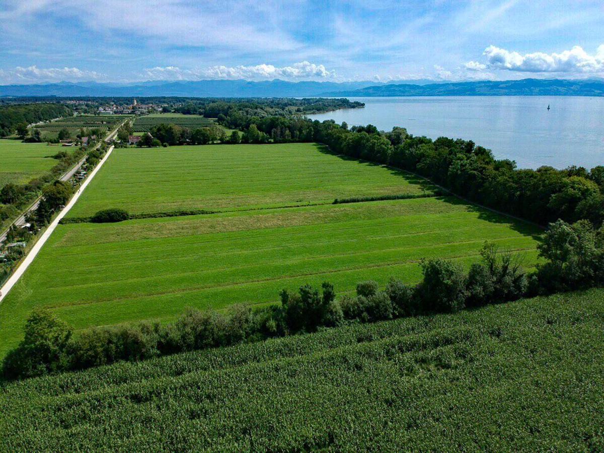 Haus Felchen - Apartment 2 - Auenwald - Mit Priv Strandzugang Friedrichshafen Exteriör bild